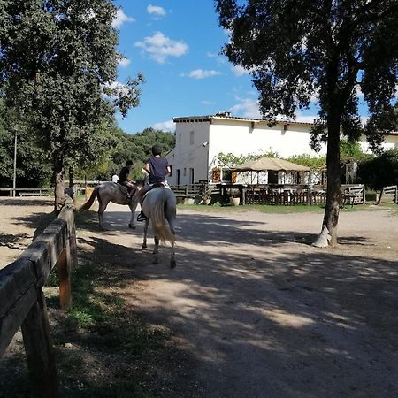 Casa Rural, Can Cirera Serinya Luaran gambar