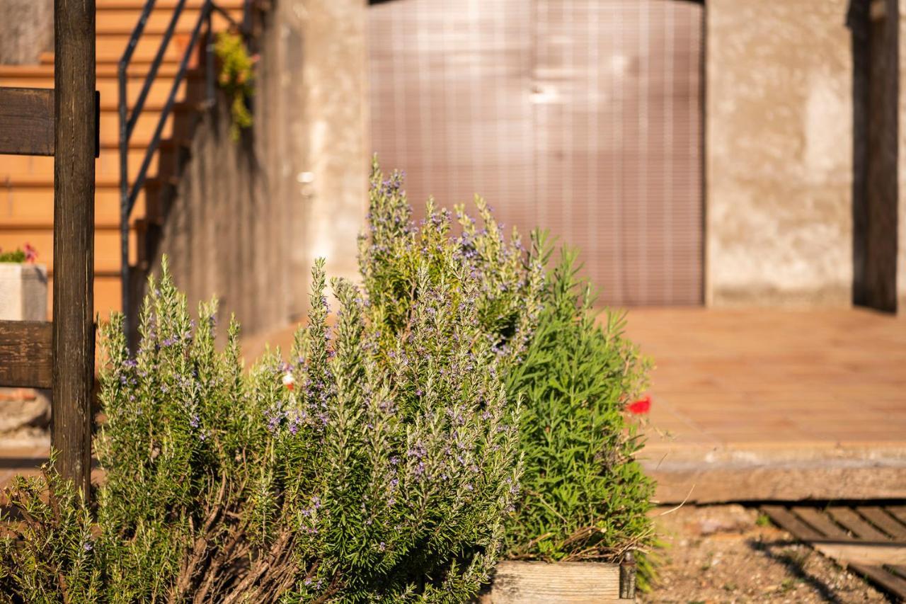 Casa Rural, Can Cirera Serinya Luaran gambar