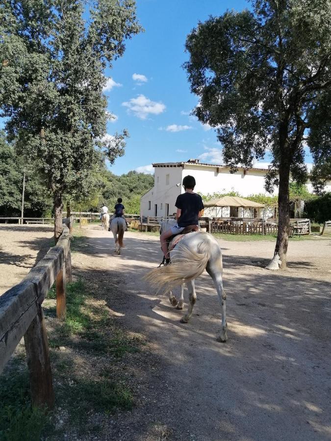 Casa Rural, Can Cirera Serinya Luaran gambar